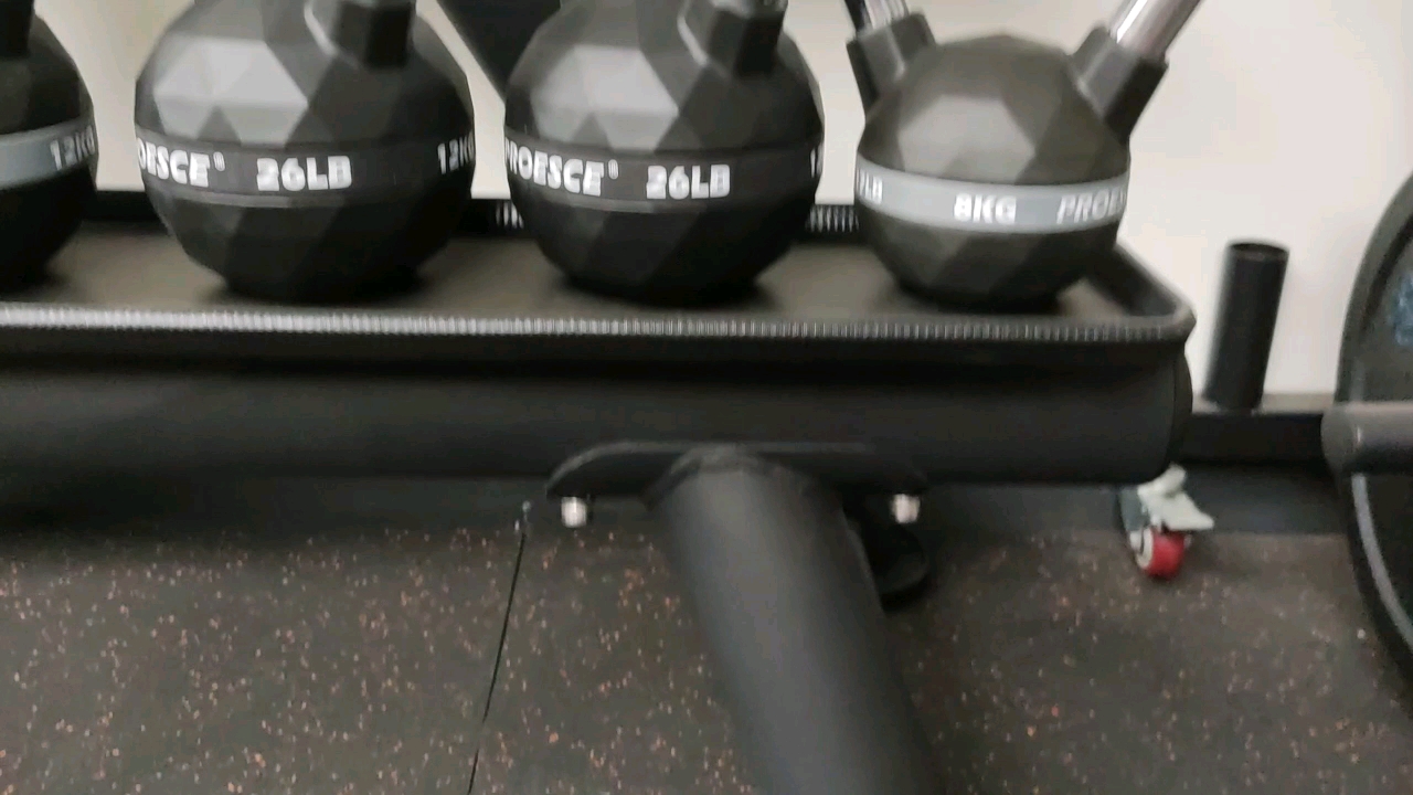 Proesce 6kg 24kg High Quality Patented Design Custom Pu Pev