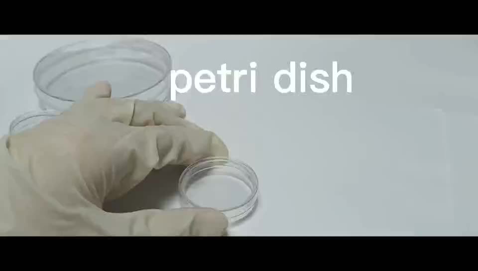 Round 60mm Glass Petri Dish Petri Dish Agar Plate Sterile Petri Dish