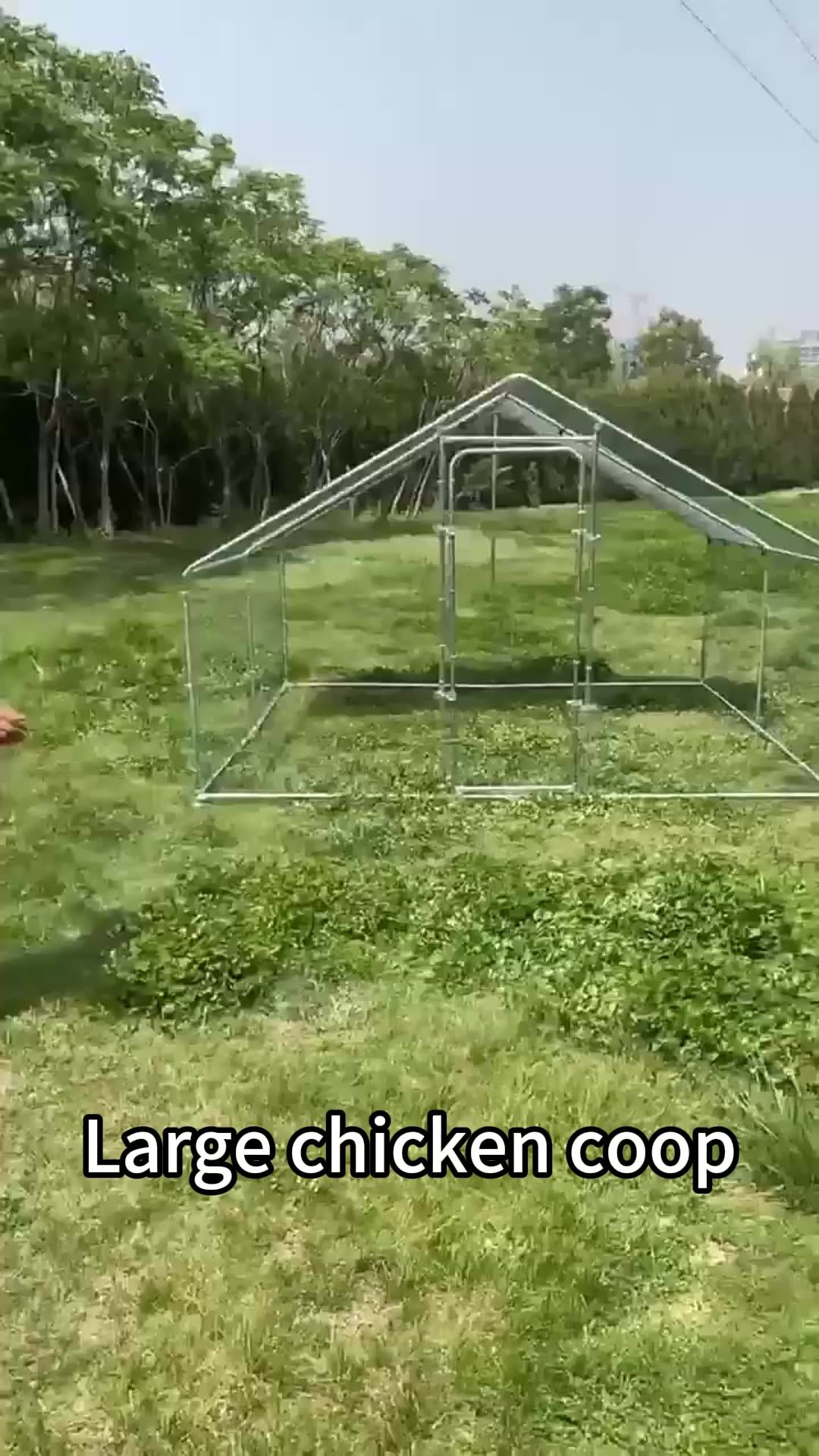 Large Metal Chicken Run Heavy Duty Chicken Cage/pen Walkin Chicken