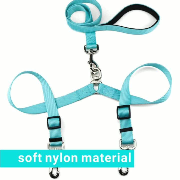 double nylon dog leash