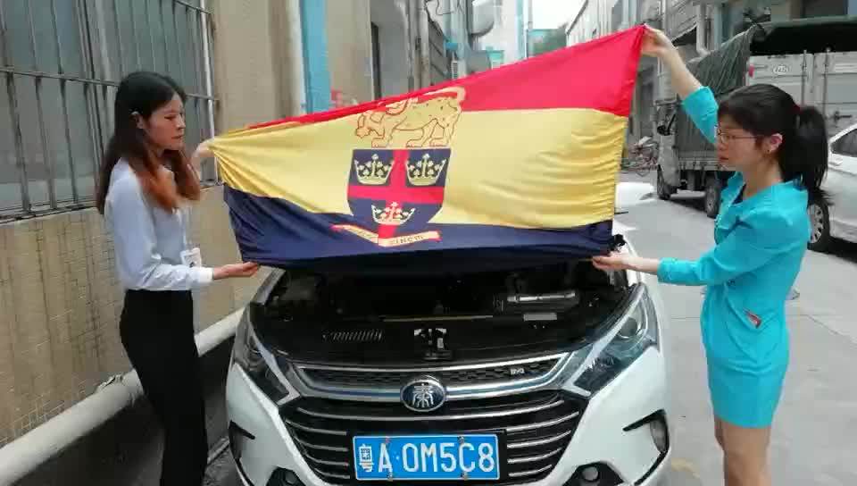 Factory Custom Size All Countries Flag Car Hood Cover Mexico Car Engine Cover Flags Buy Mexico