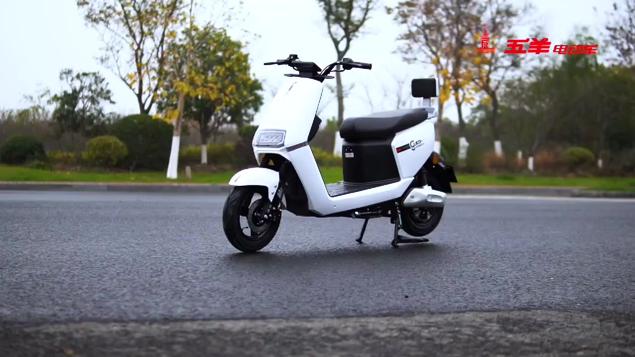 Электрический мотоцикл 1000w