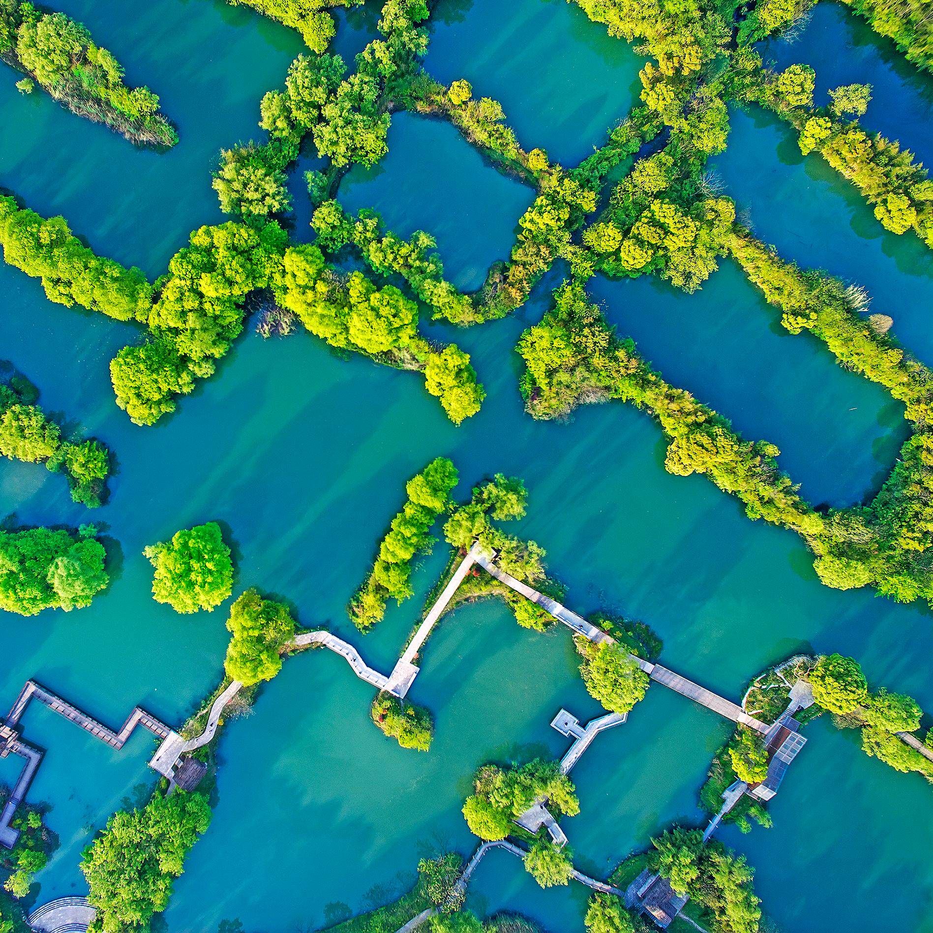 探秘西溪湿地:摇橹船上的诗意之旅-旅游-淘宝百科网