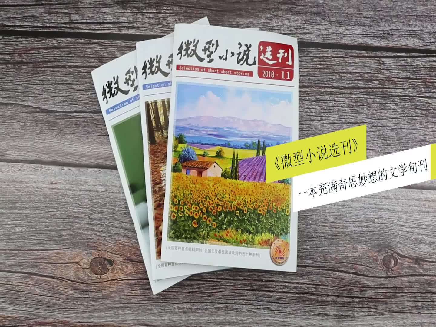 每月拆一本微型小说选刊，是给生活留白的温柔仪式感📖✨ - 好物爆料- 淘江湖