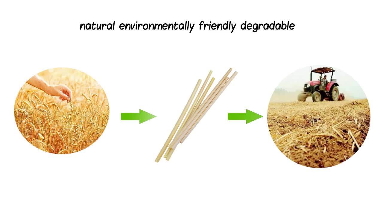 Natural Wheat Drinking Straw Wholesale Buy Wheat Straw,Natural Wheat