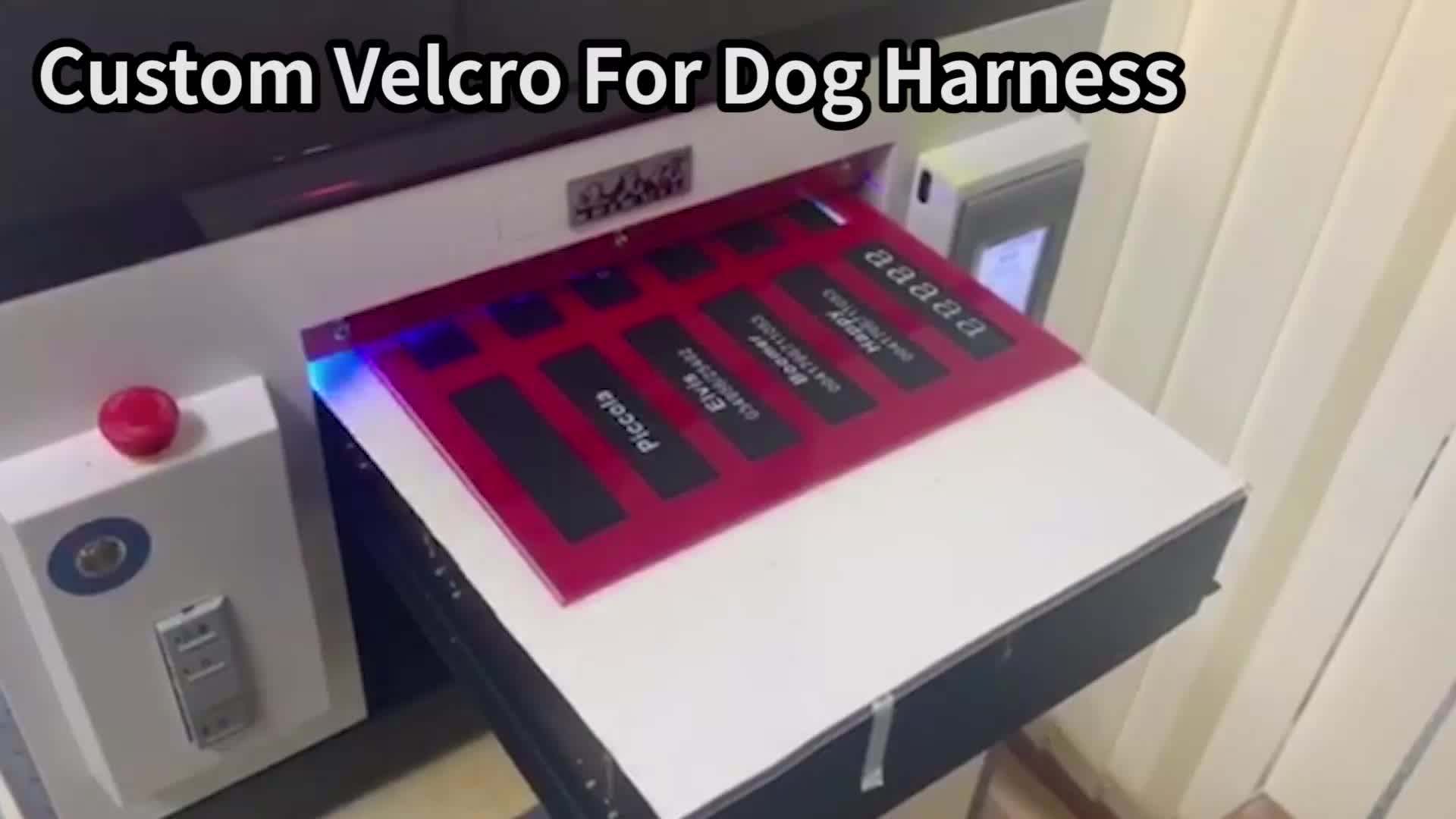 Harnais Anti-Traction Personnalisé - Confort & Sécurité Maximale - 2026 - Doglovedesign : Vêtement et accessoires pour chiens