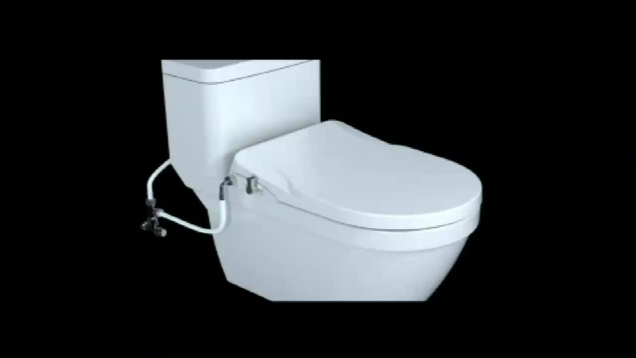 3 Styles With Double Nozzles Of Advanced Toilet Seat Bidet Spray Buy