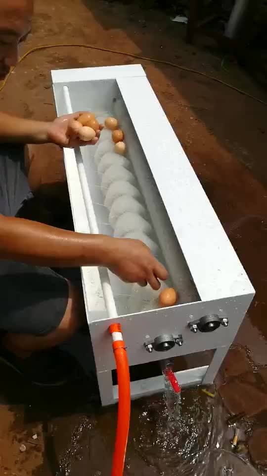 Brush Egg Washing Machine / Salted Duck Egg Washer For Sale / Egg