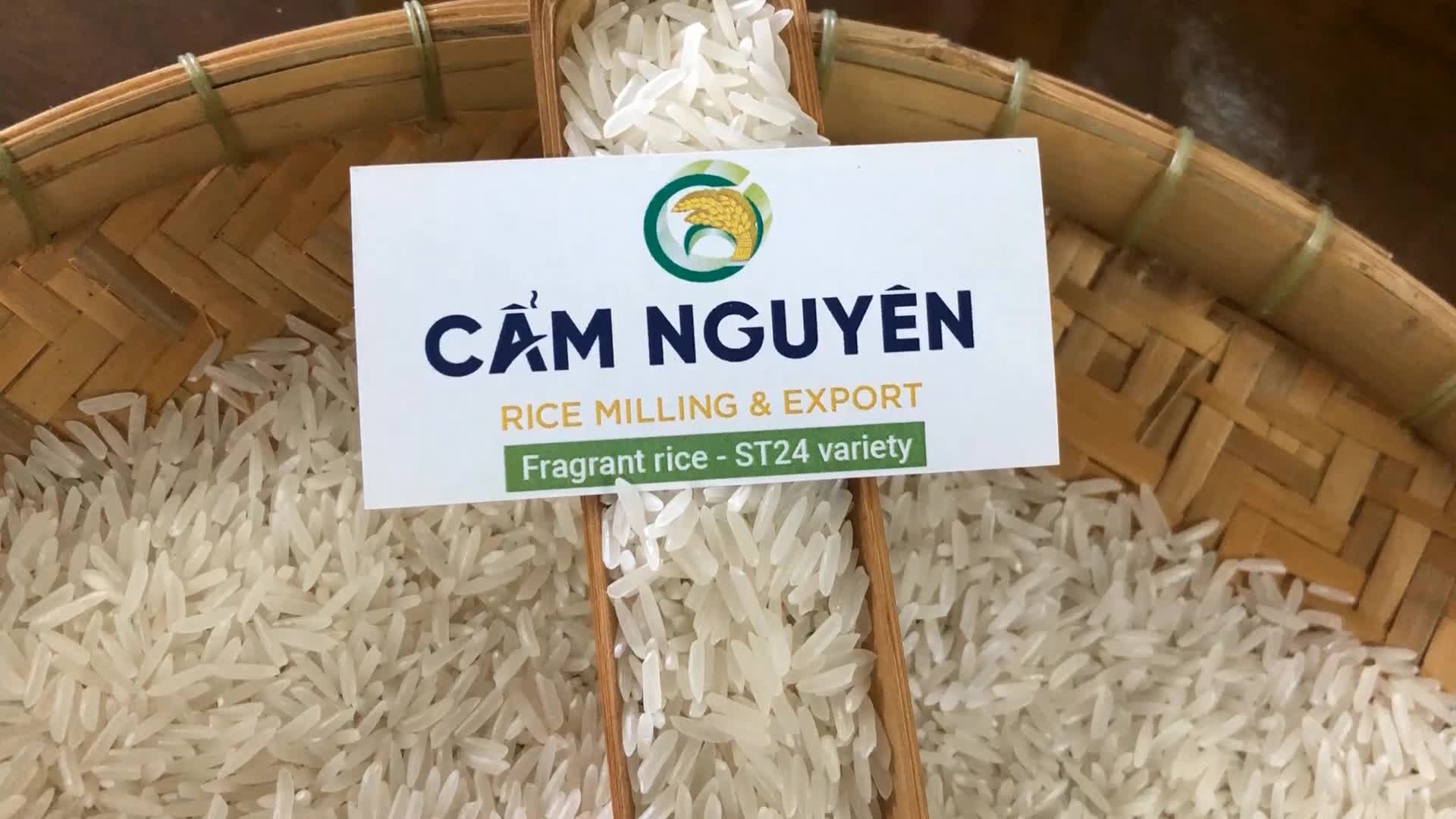 white_in_rice cam white_in_rice cam