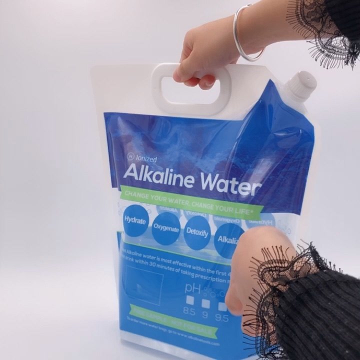 1 Gallon Spout Top Alkaline Water Bag 5l 10l Packaging Buy Water Bag