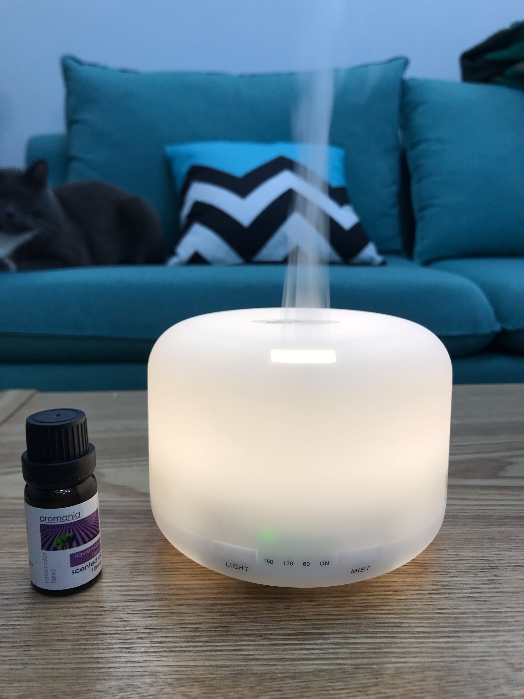 超声波纳米香薰空气加湿器质量怎么样是品牌吗，两大爆款使用效果评测_搜券