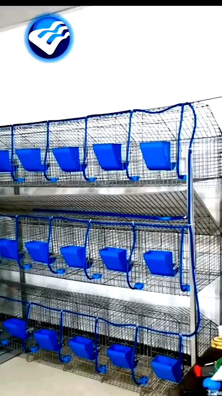 Hot Selling Cheap Commercial Rabbit Cages /rabbits Breeding Cage Farms