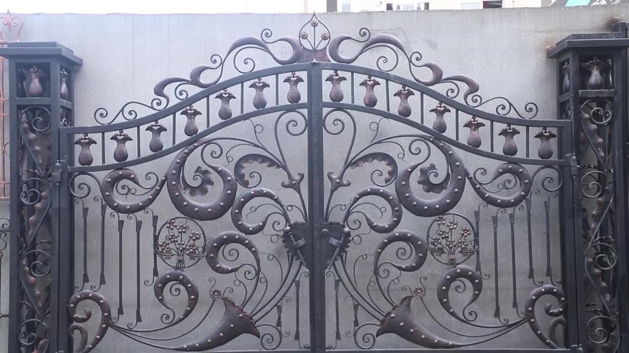 Hand Wrought Iron Modern Residential Steel Double Entry Doors