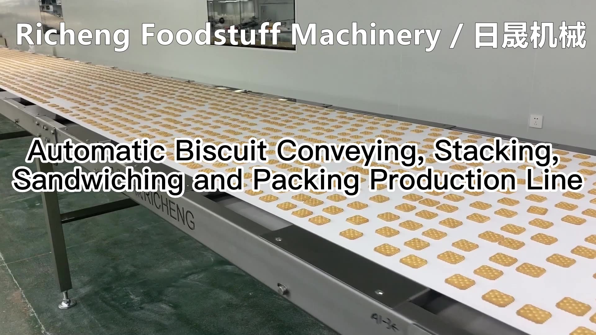 Automatic High Capacity Chocolate Cookie Biscuits Sandwich Bake Packing