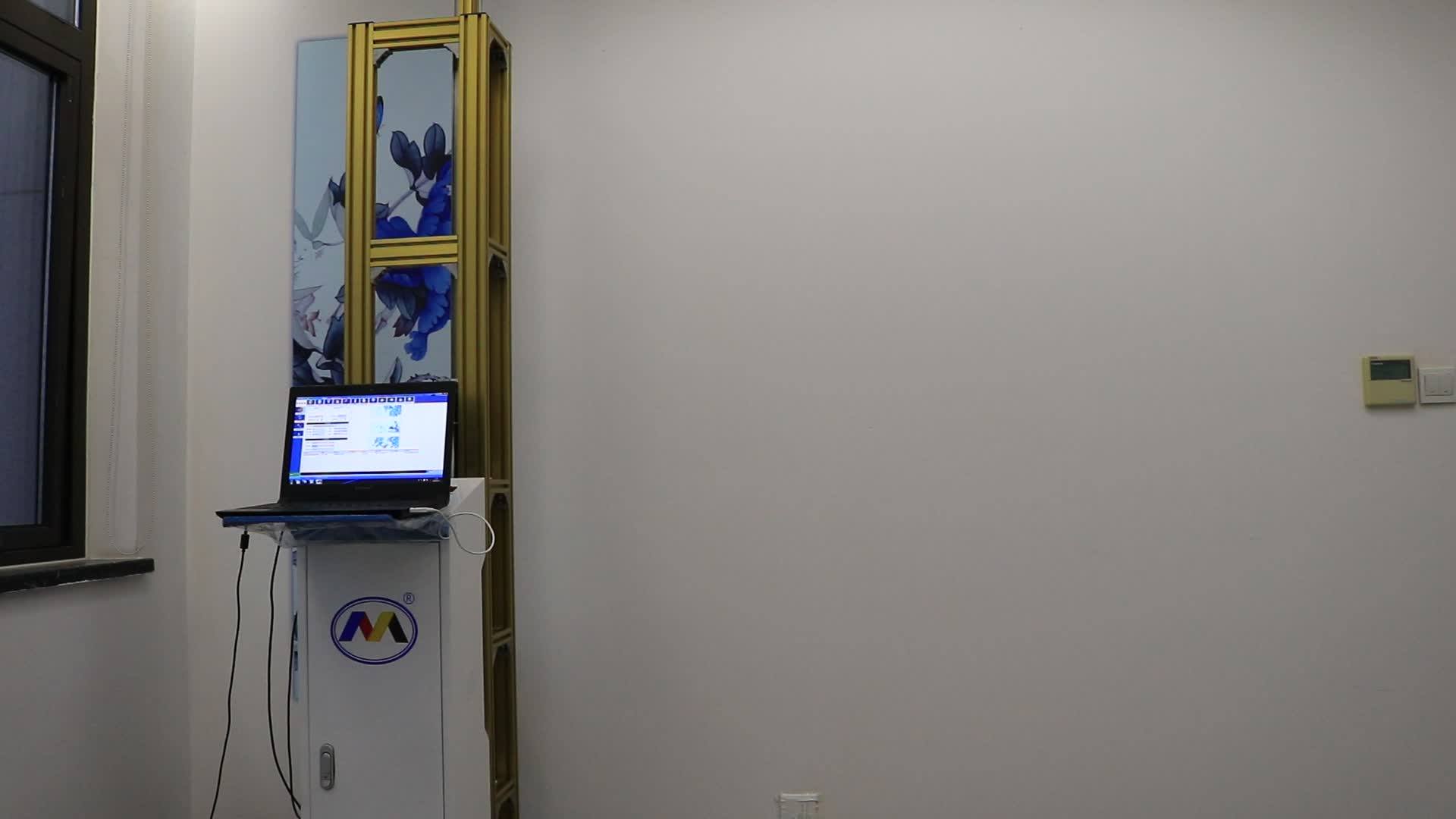 Vertical Wall Commercial 3d Plotter Wall Printer Mural Wall Art