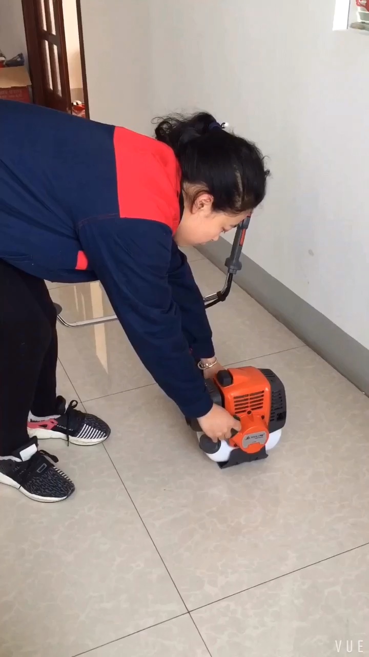 541 43cc 2 Stroke Japanese Carburetor Petrol Garden Grass Trimmer Brush