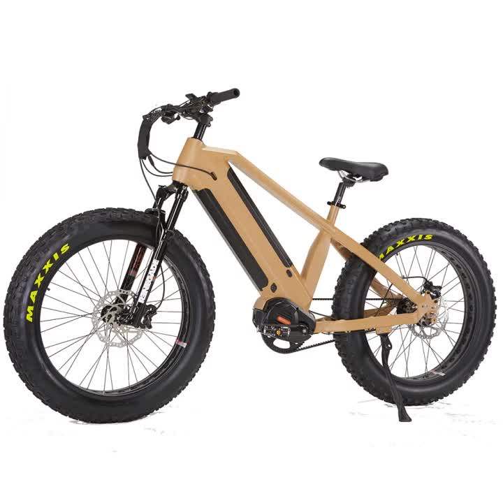 Gates Belt Dual Battery Mid Motor Driven Electric Bicycle 48v 1000w