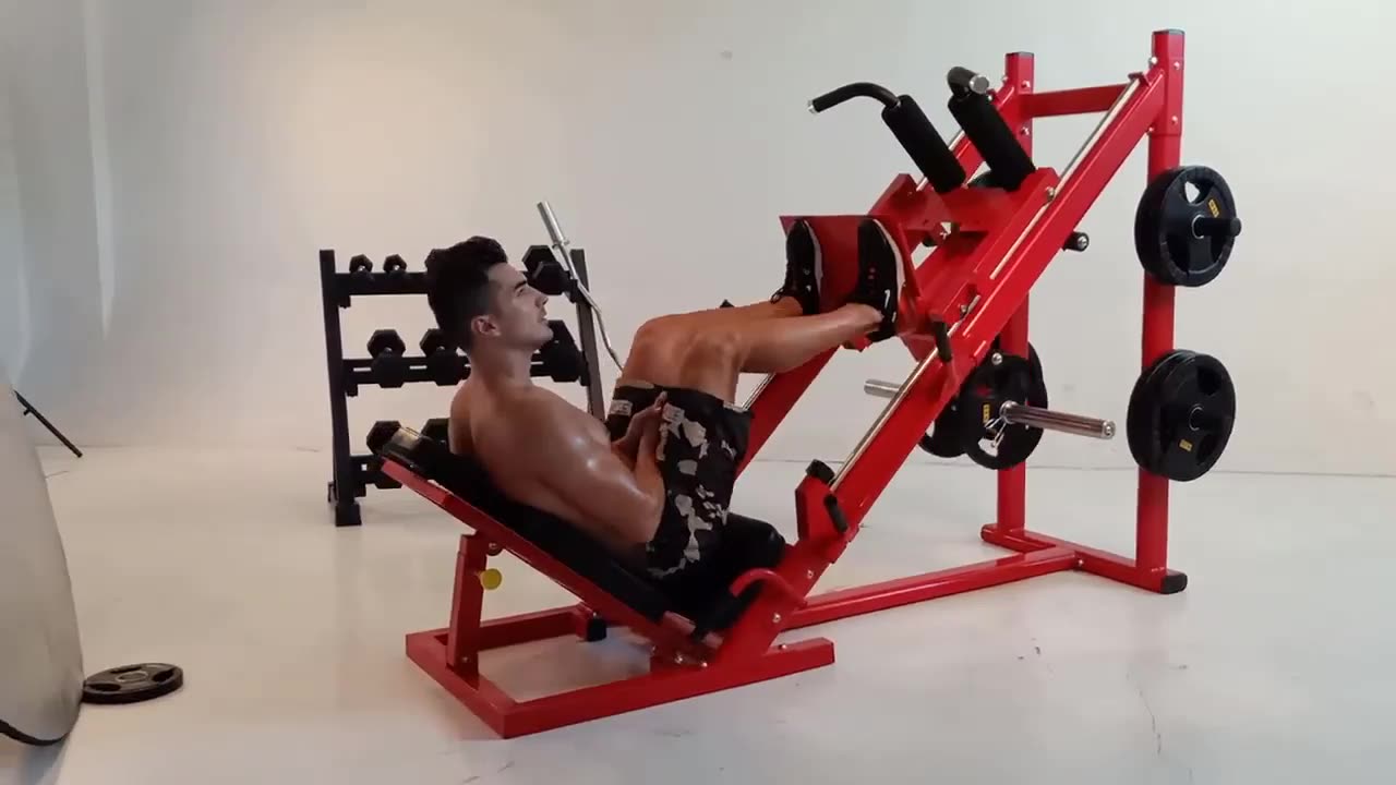 DB method Squat Machine