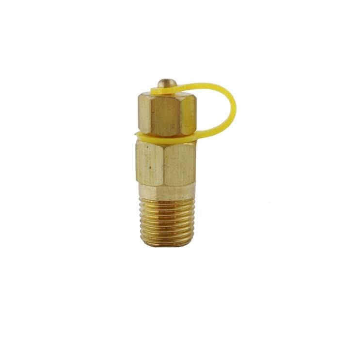 Pressure and temperature DZR brass test plugs, View brass temperature test plug, Baoyi Product