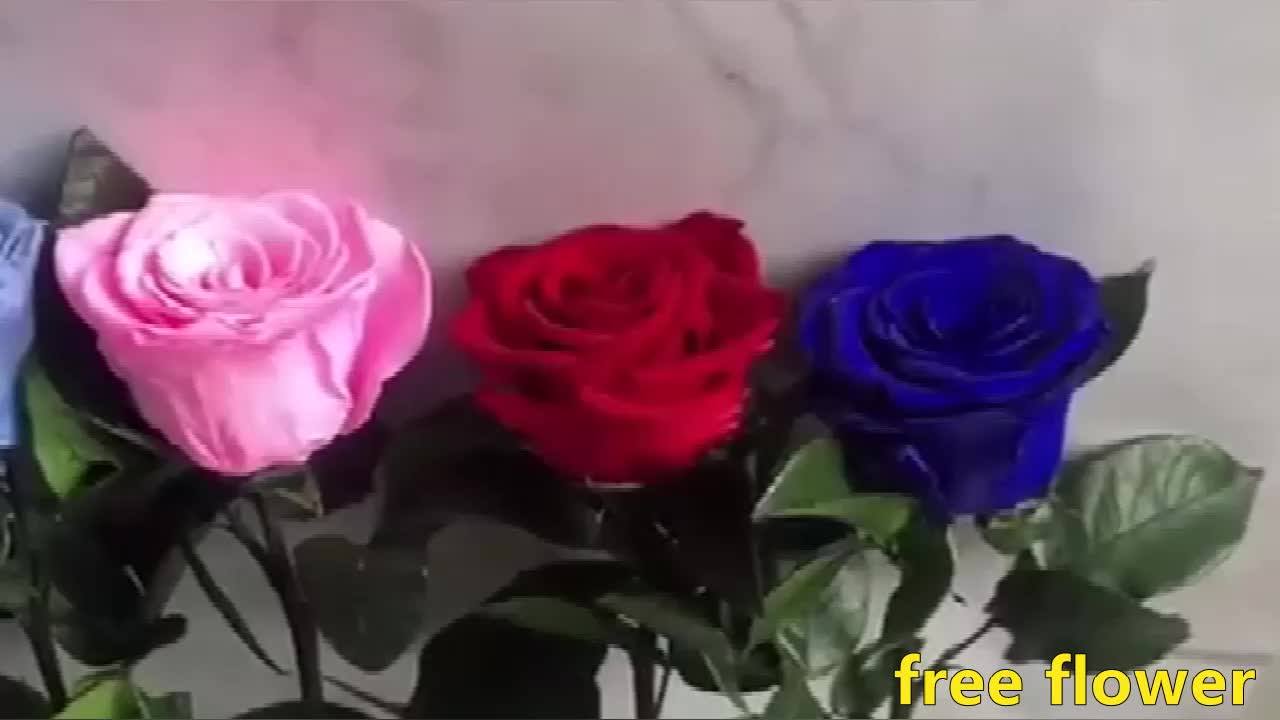 Everlasting Single Stem Rose Natural Preserved Flowers For Valentine