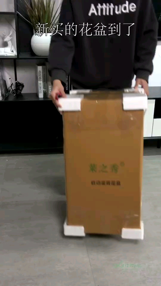 Outdoor Indoor Garden Livingroom Big Large Tall Plastic Commercial