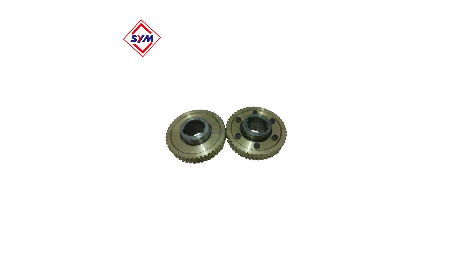 Construction Hoist Spare Parts Micro Worm Gear For Hoist Reducer