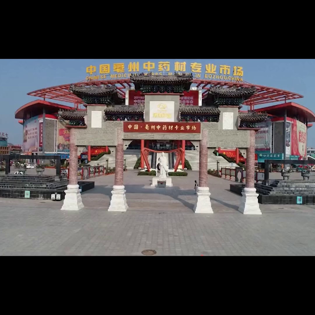 黄荆子真的适合生活泡水喝吗？