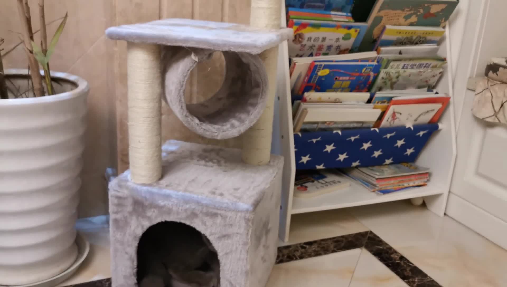 Pets Hot Amazon Cat Modern House Scratch Pole High Quality Eco Friendly