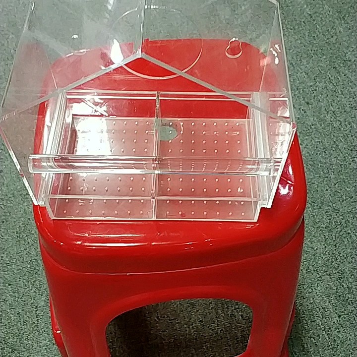 Custom Clear Plexiglass Acrylic House Shape Handmade Bird Canary Cage