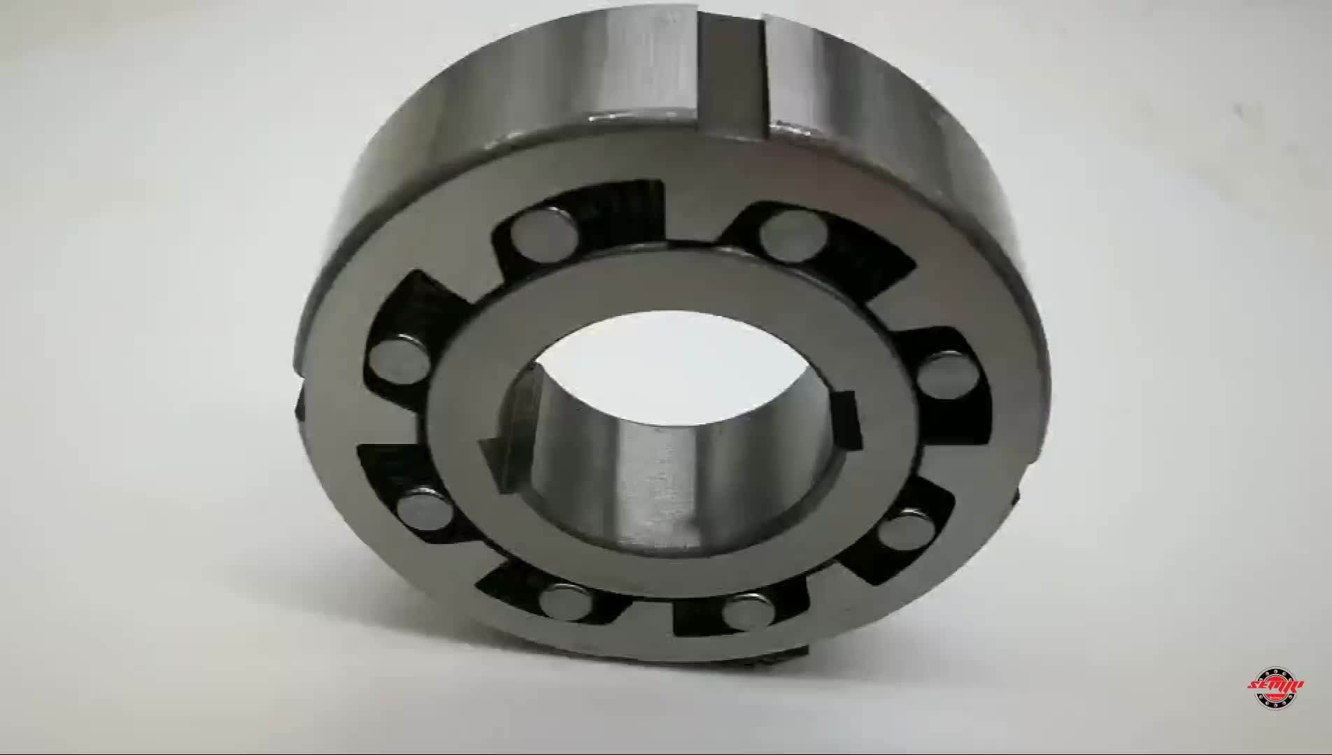 Cusztomized One Way Clutch Ratchet Wheel Bearing From Semri Factory