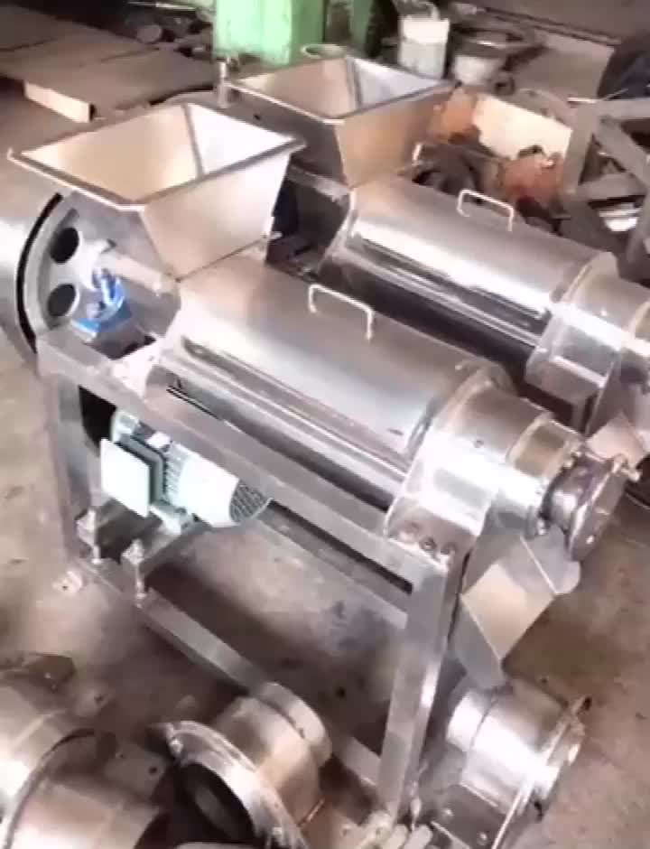 Industrial Cold Screw Press Juicer Commercial Orange Juice Extractor