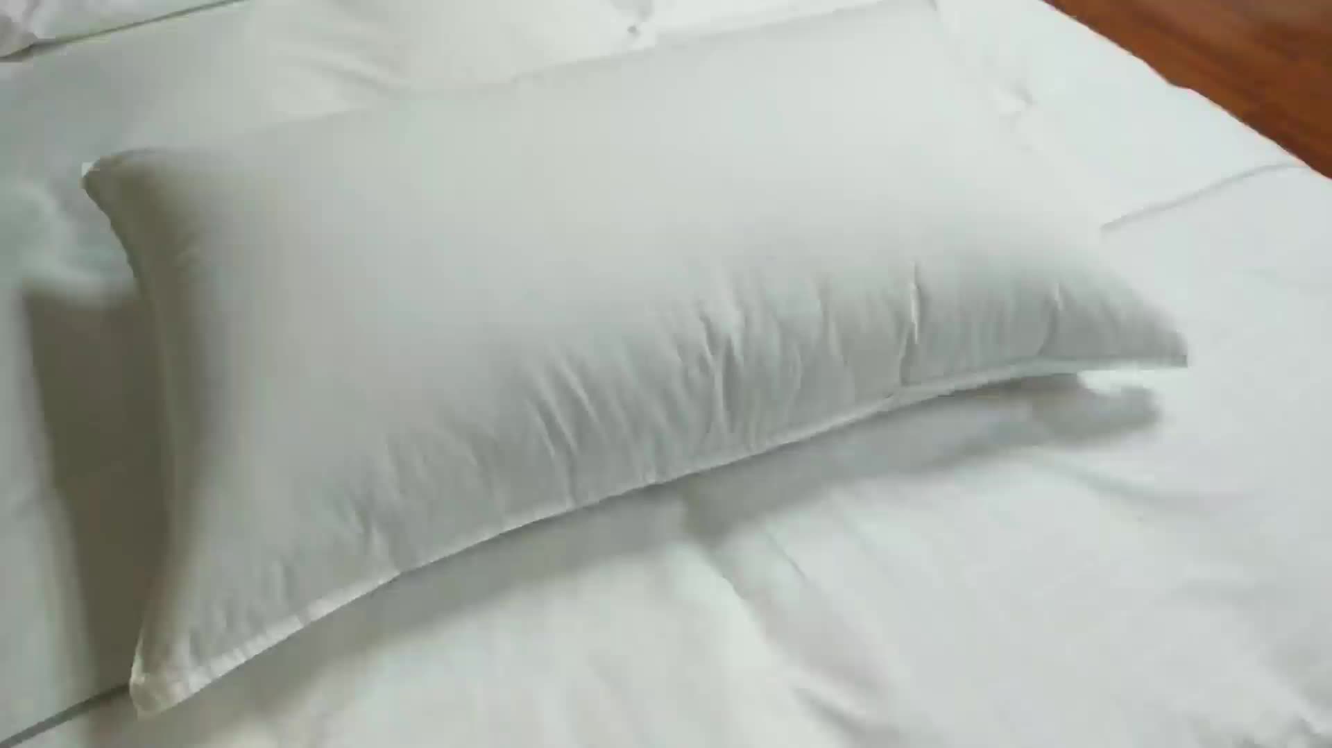 Wholesale 50x75cm Hotel Standard Size White Goose Down Pillow Inserts
