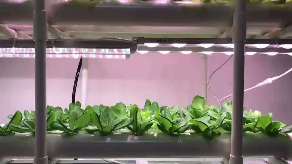 indoor hydroponic systems for sale