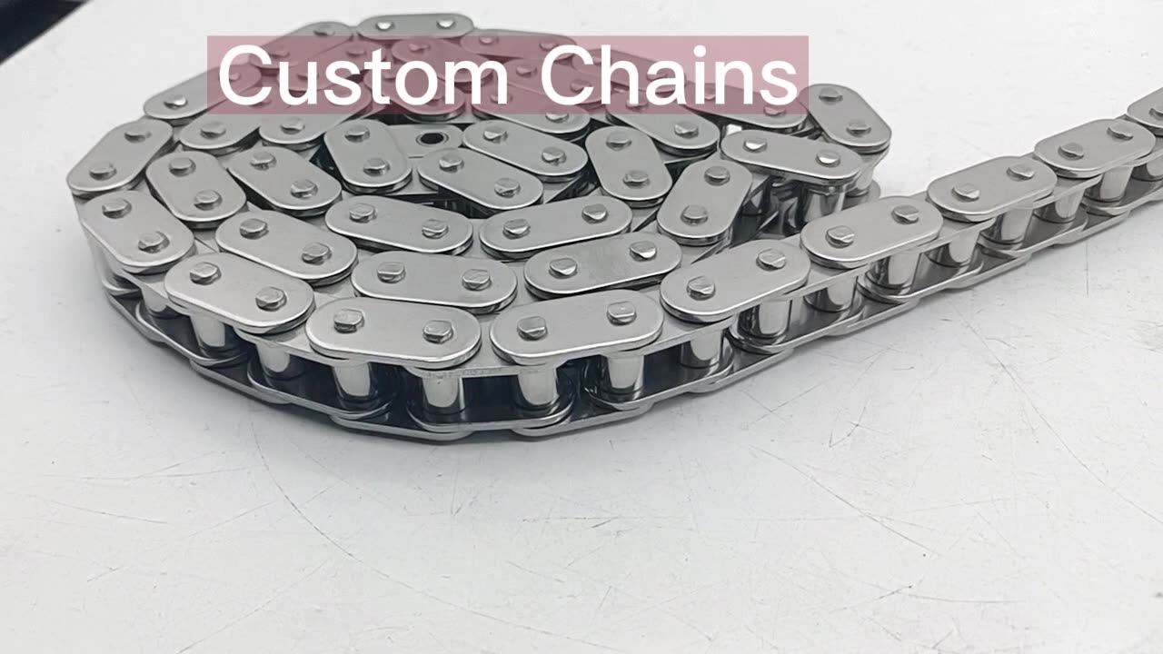 Stainless Steel Heavy Duty C2050h C2060h C2080h Conveyor Roller Chain