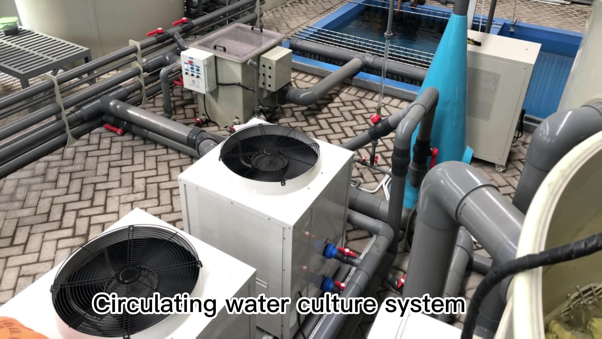 Customized Recirculating Aquaculture Systems Fish Farming System Ras In