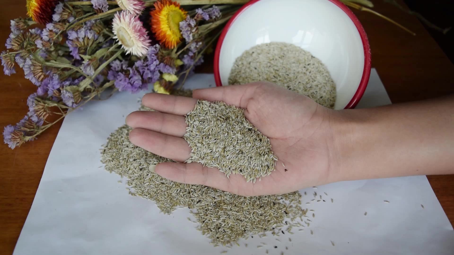 Hot Selling Edible Vegetables Seeds Lettuce Seed For Home Gardening