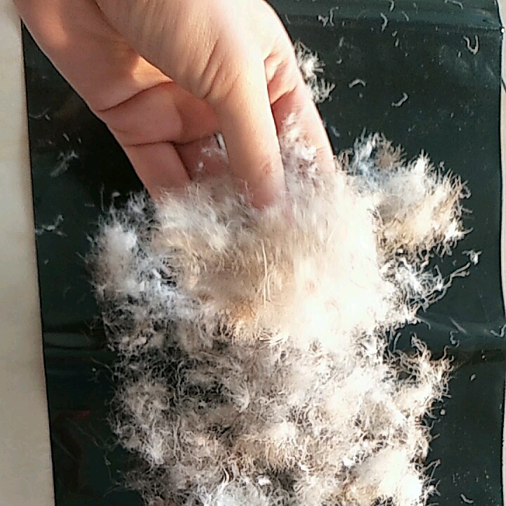 60/40 Grey Duck Down Buy 60/40grey Duck Down,Filling Material Duck Down,Duck Down Jacket