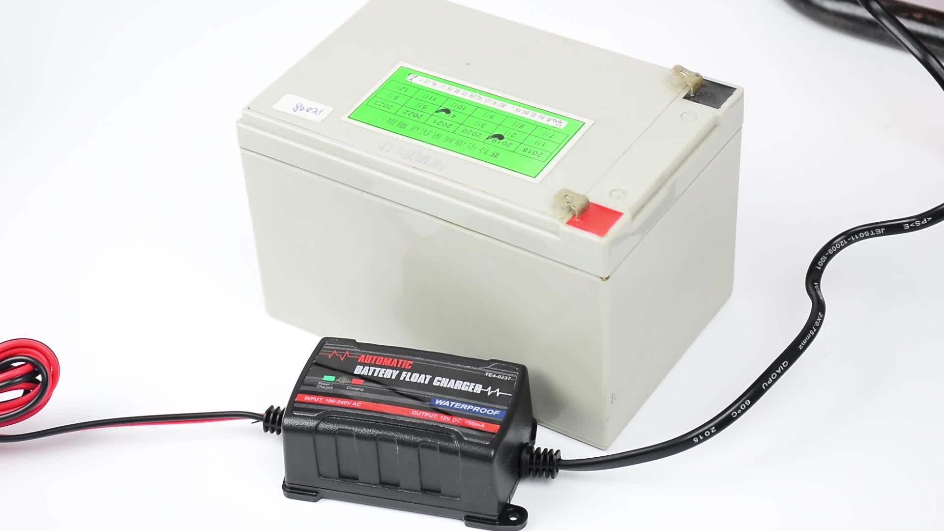 100v230v Input Car Battery Float Charger Maintainer Buy 230v Battery