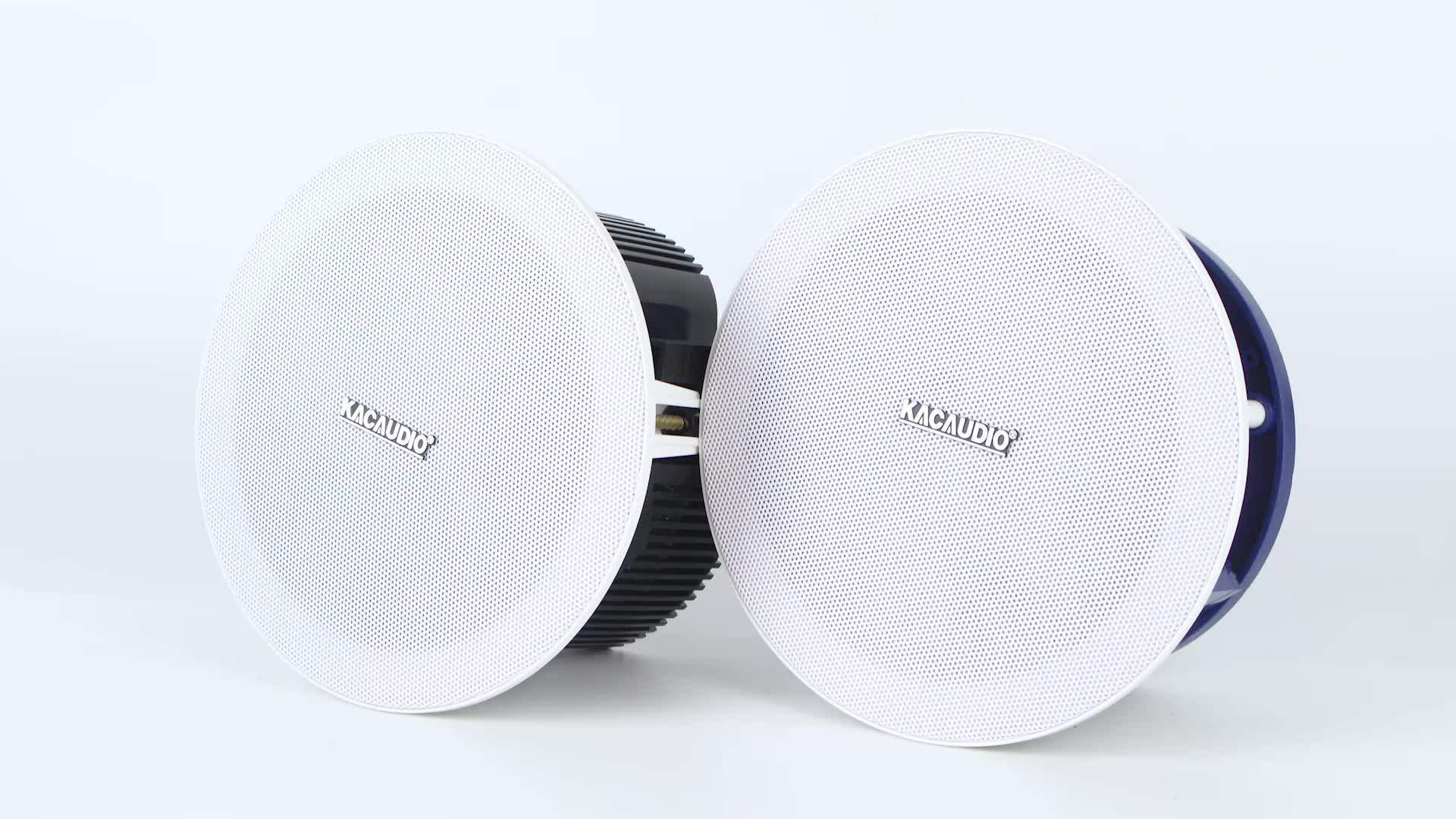 Oem Manufacturer 3 Inch Professional Ceiling Speaker System Buy 3