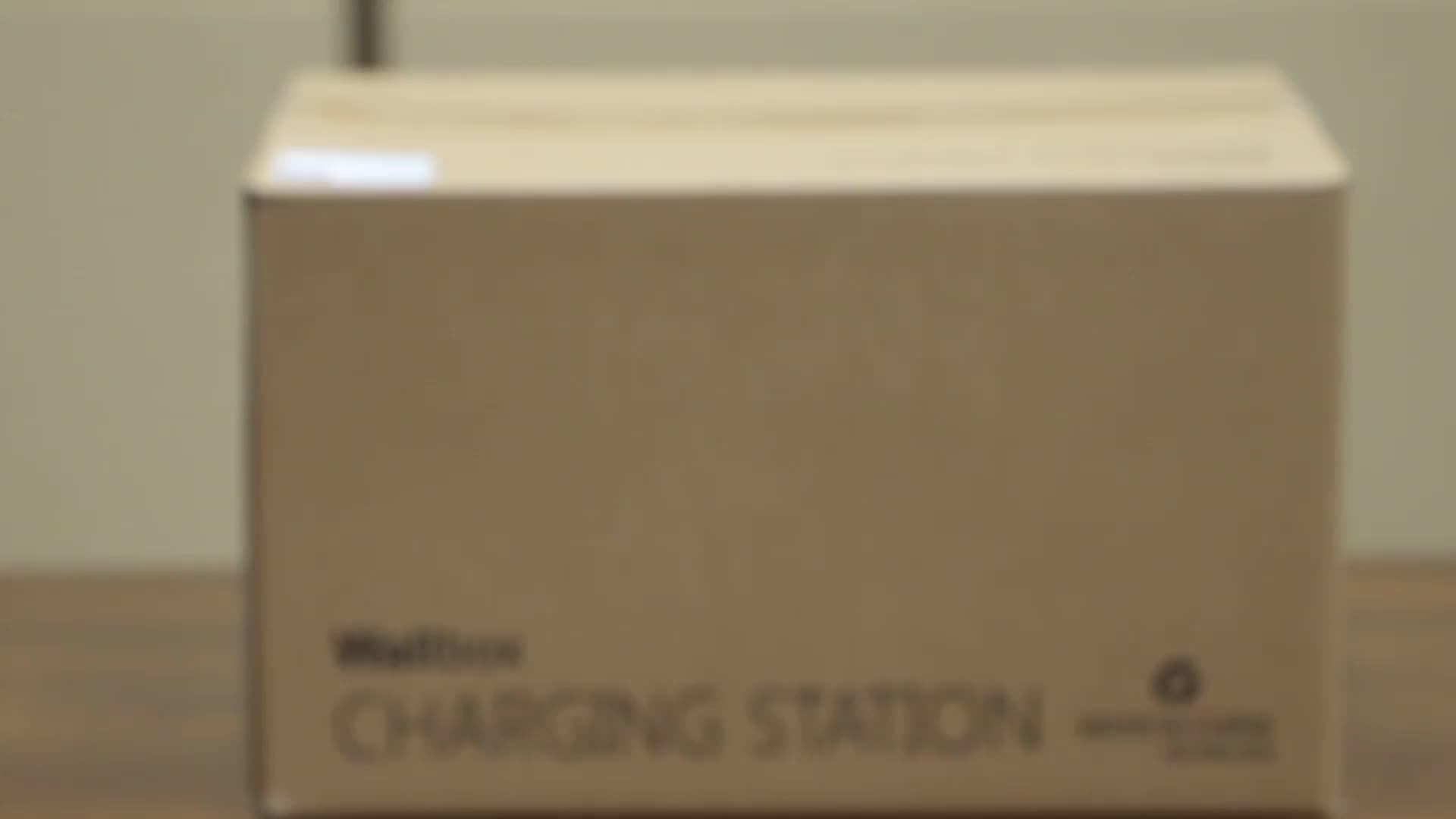 Wissenergy Electric Car Charging Station Wall Mounted App Remote