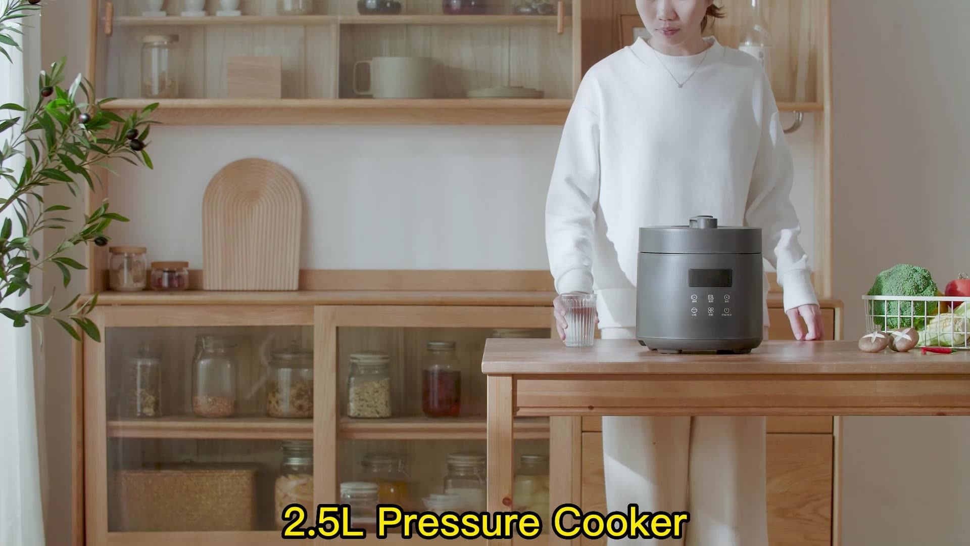 Factory Wholesale Prices Electric Pressure Cooker Multifunctional