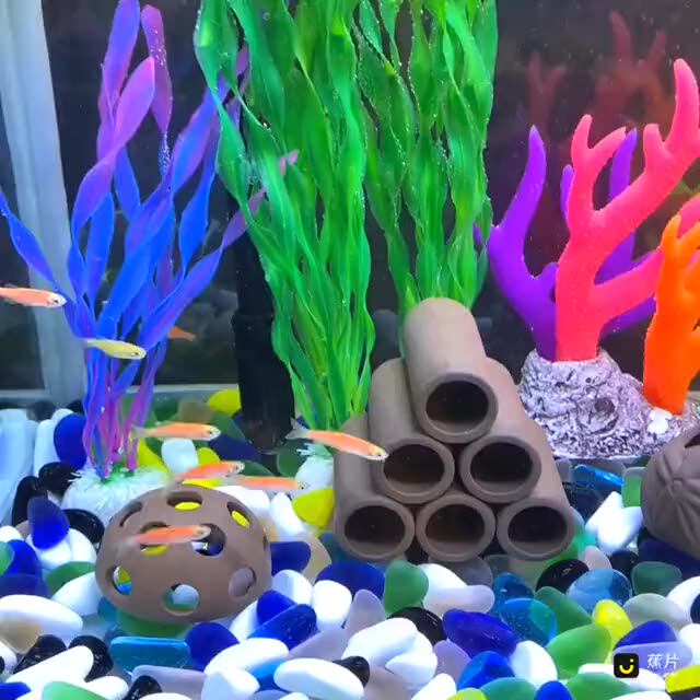 Aquarium Ceramic Rock Cave Baby Fish And Shrimp Breeding Hiding Shelter Purple Clay Pots For