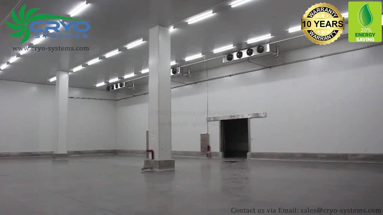 Frozen Meat Fish Processing Seafood Cold Room Chicken Cold Storage Room ...