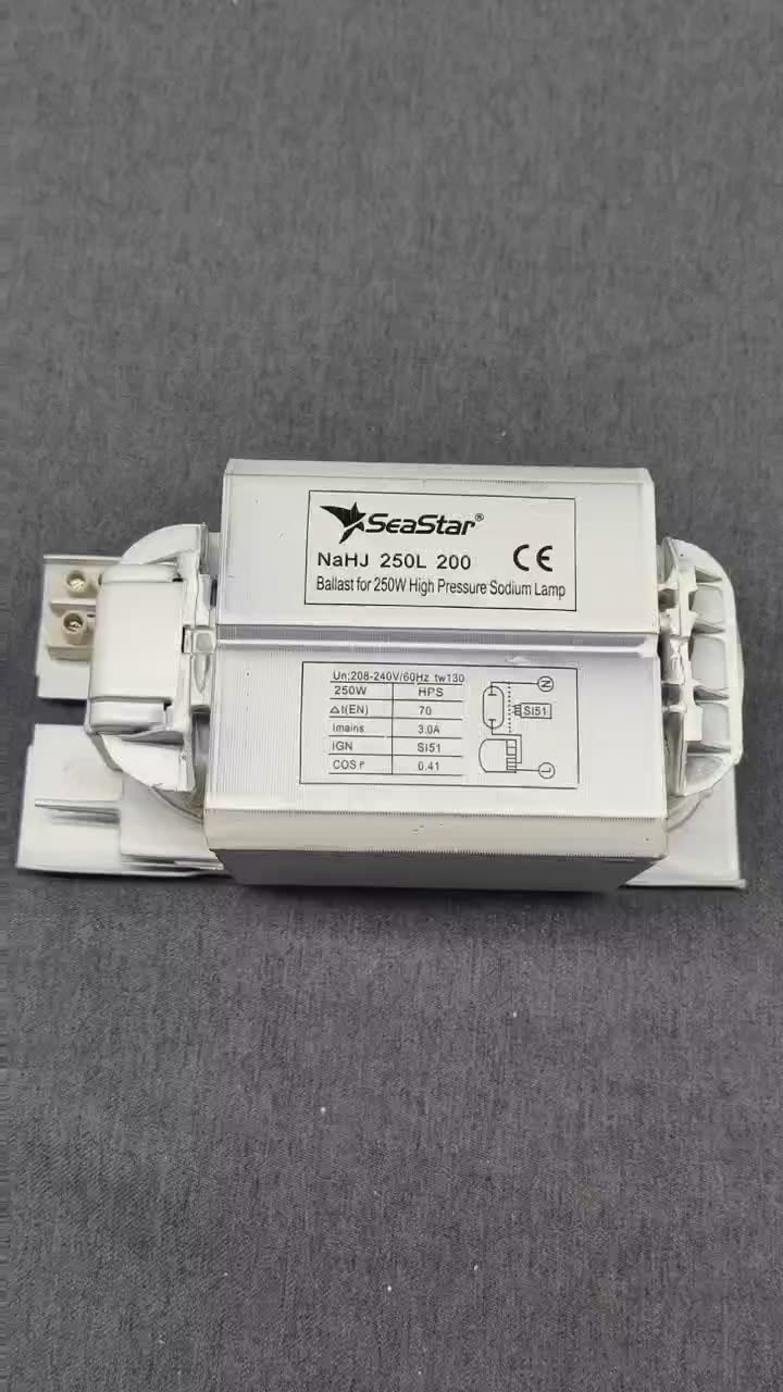 Traditional Ballast For Mh/hps 250w 400w 220v 240v 50hz And