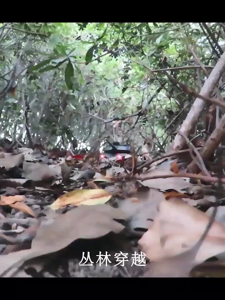 Remote control tank toy crawler metal gun can launch simulation alloy tank Tiger boy children's gift