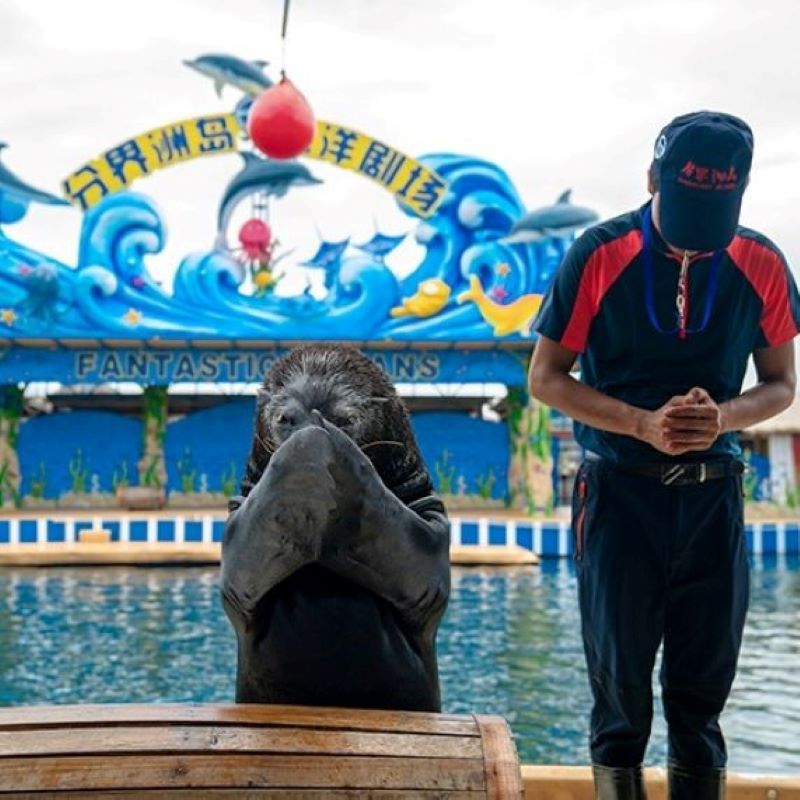 探秘三亚：三天纯玩团的深度游玩法