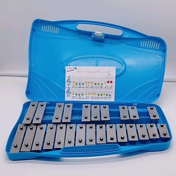 25 Notes Colorful Chromatic Music Xylophone For Sale With Metal Keys