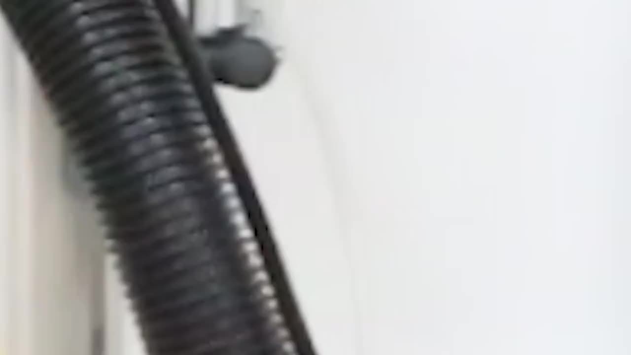 酒店保洁神器。超洁亮LC-40SC地毯抽洗机测评80升大容量、宾馆地毯清洁直接起飞