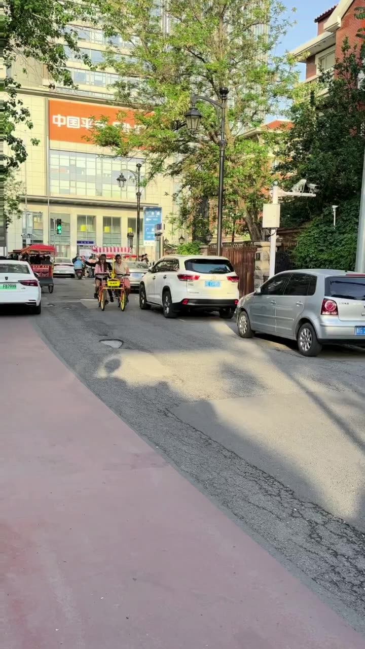 recreational bicycle pedals