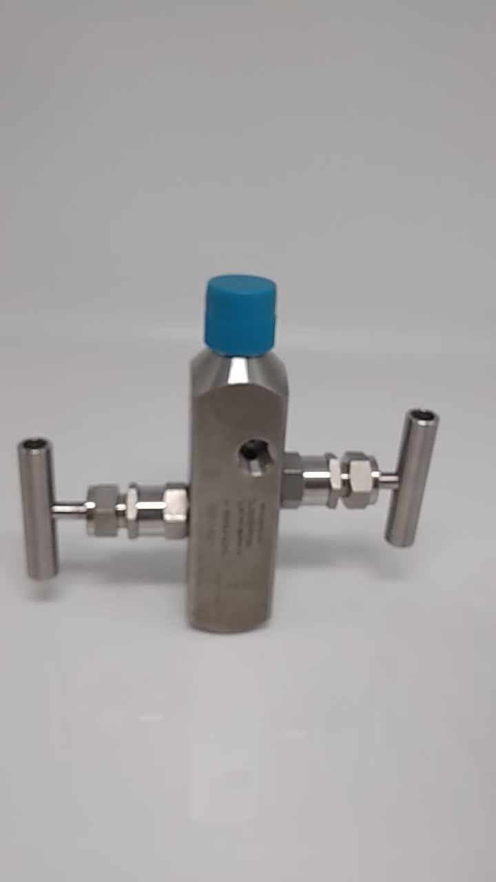 Stainless Steel Swagelok Type Multi Port Valve,Gauge Root Valve Buy